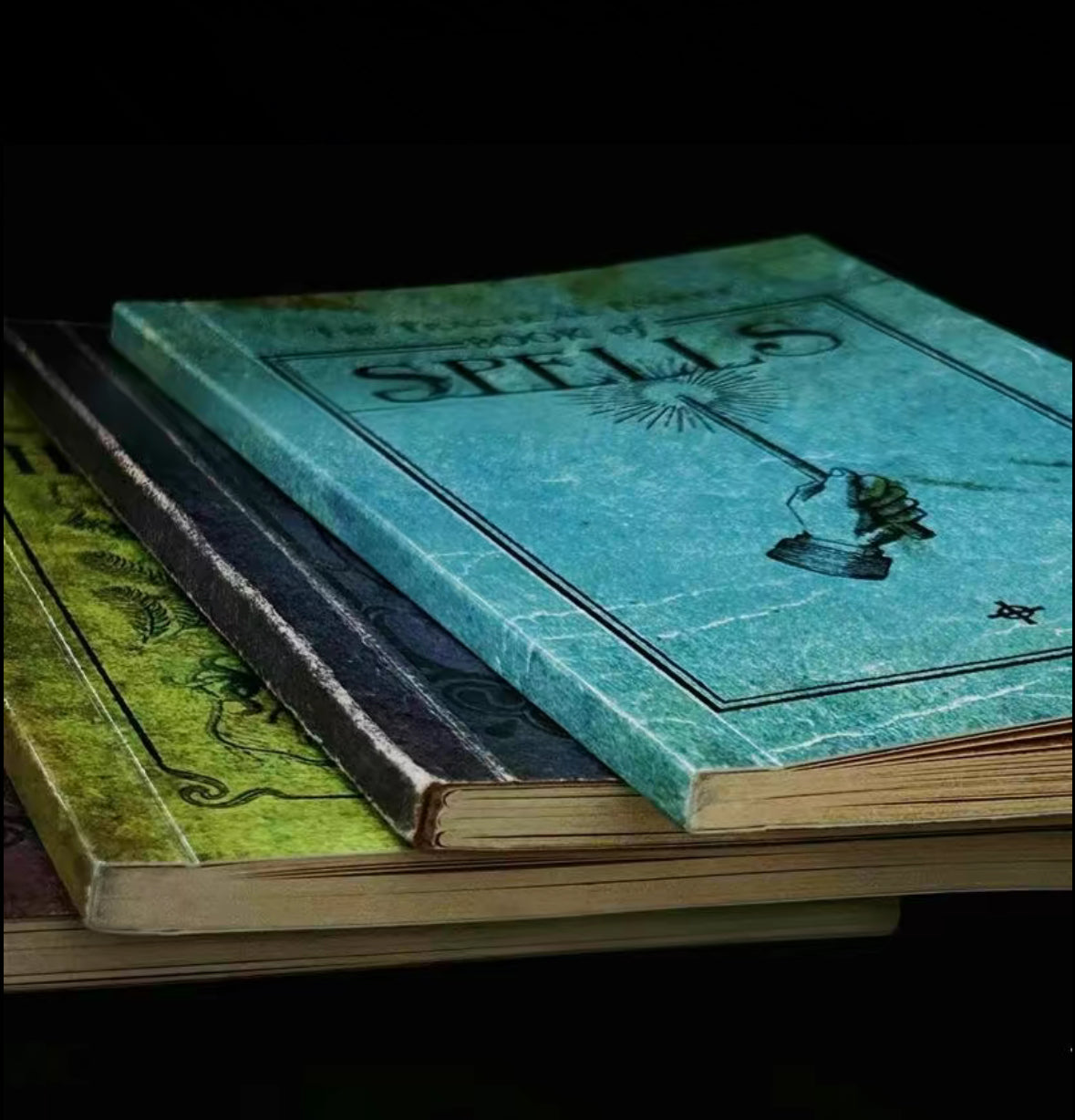 Eldoria Wizarding Textbook Collection