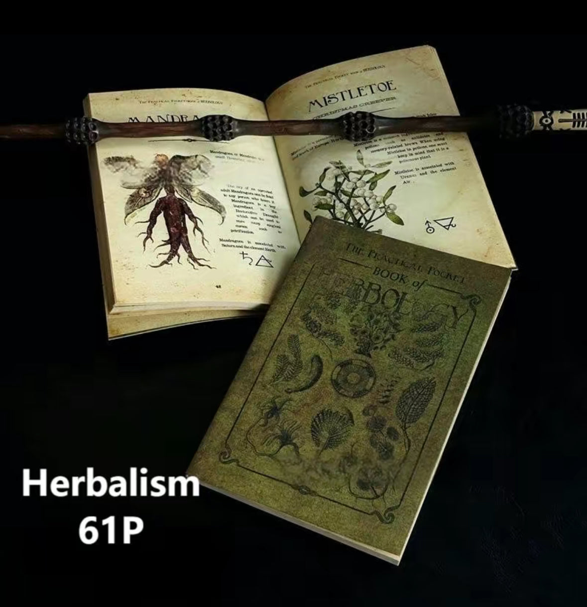 Eldoria Wizarding Textbook Collection