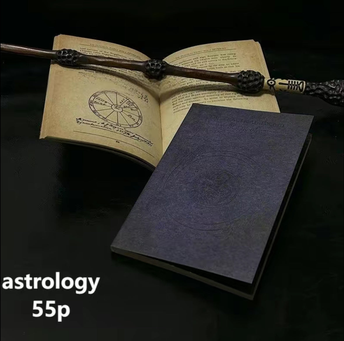 Eldoria Wizarding Textbook Collection
